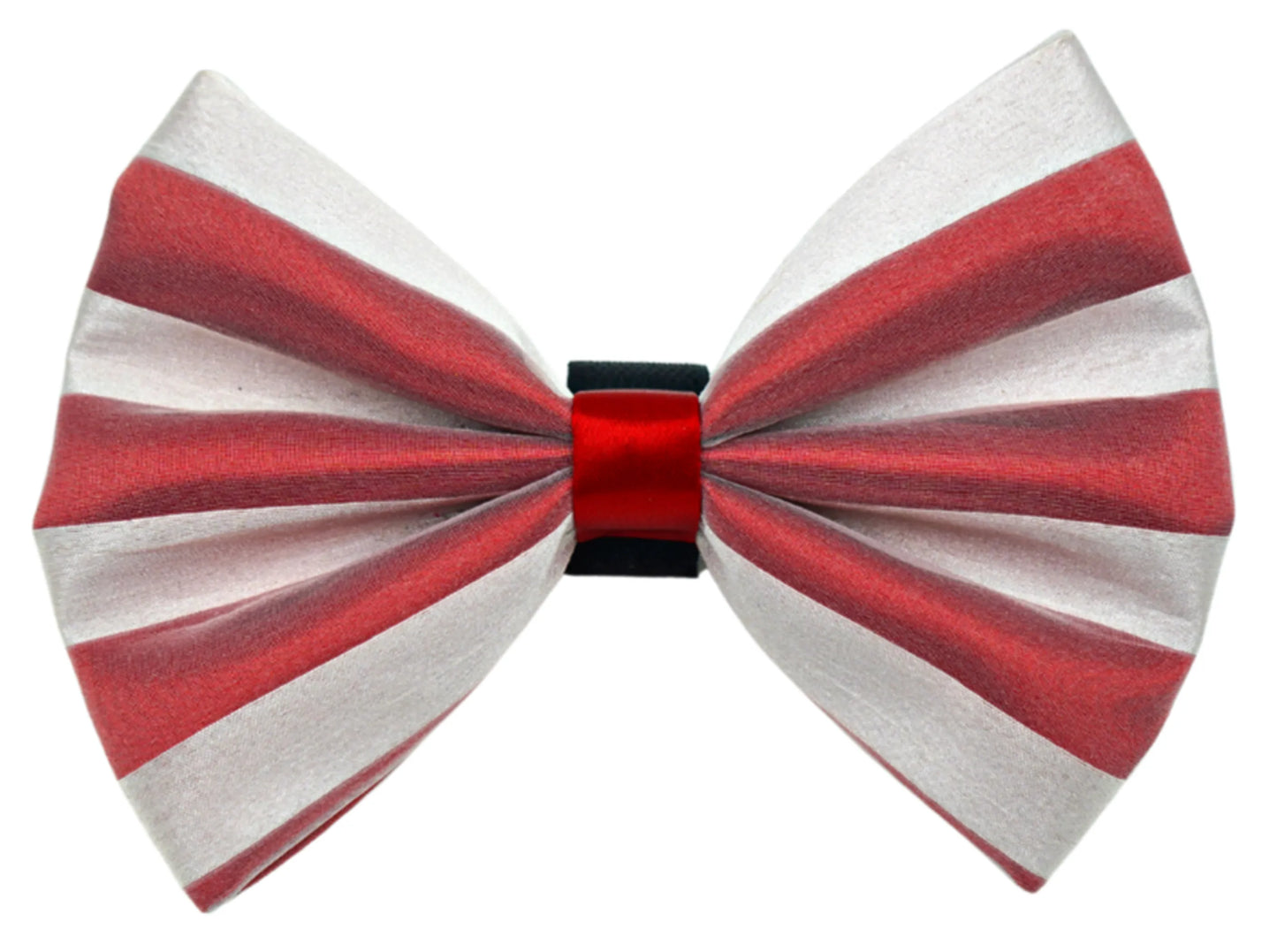 PR3006X|Pets Ribbons - Your Pet Connection