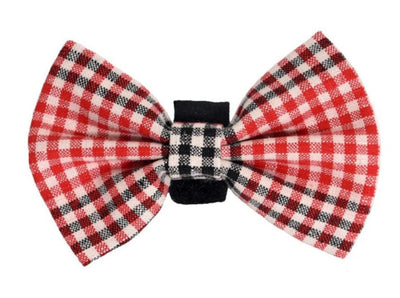 PR4004|Pets Ribbons - Your Pet Connection