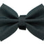 PR4006|Pets Ribbons - Your Pet Connection