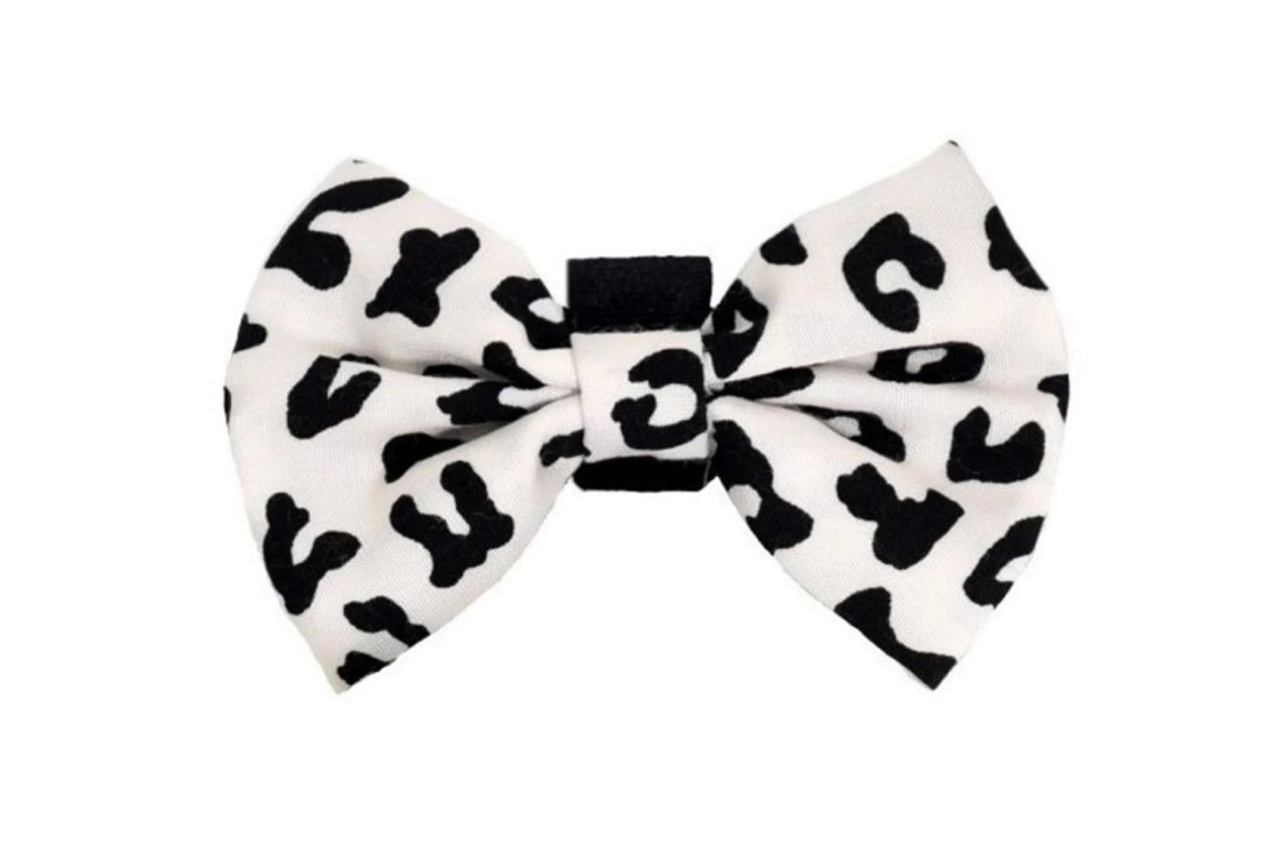 PR6000|Pets Ribbons - Your Pet Connection