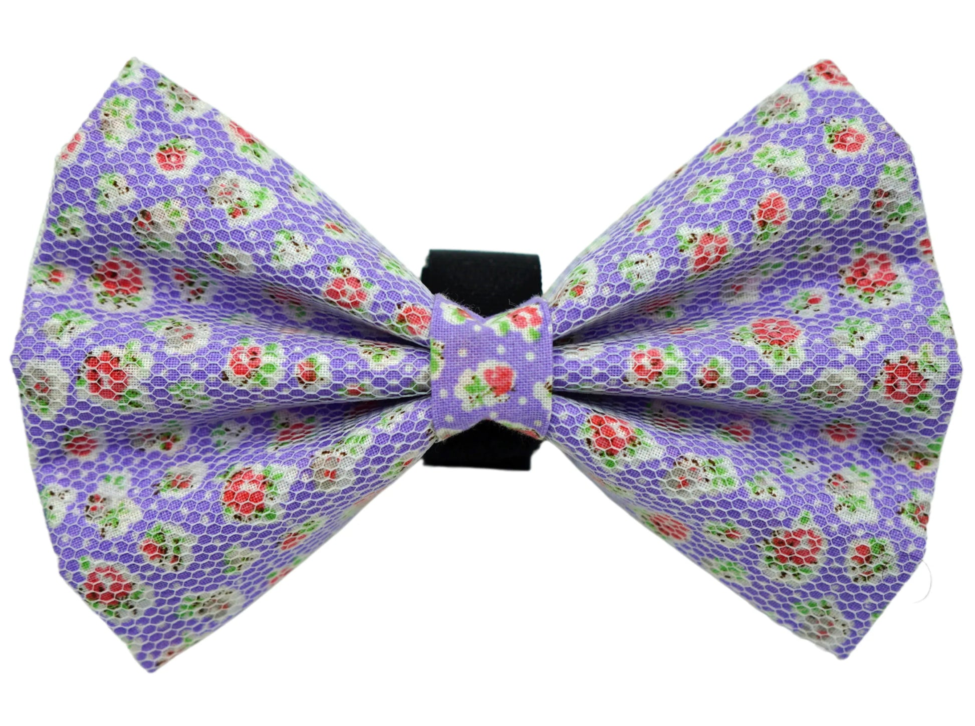 PR8000|Pets Ribbons - Your Pet Connection