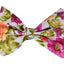 PR8007V|Pets Ribbons - Your Pet Connection