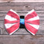 4th of July Bow Budget Bundle|Pets Ribbons - Your Pet Connection