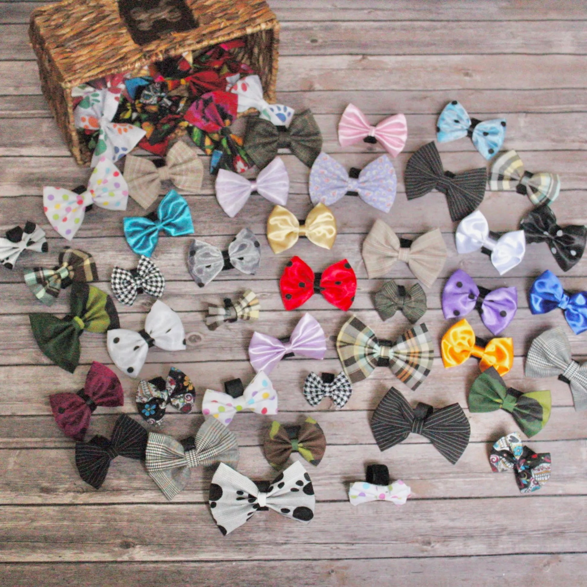 Mixed Styles Bundle|Pets Ribbons - Your Pet Connection