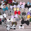Mixed Styles Bundle|Pets Ribbons - Your Pet Connection