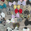 Mixed Styles Bundle|Pets Ribbons - Your Pet Connection
