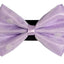 PR1001|Pets Ribbons - Your Pet Connection