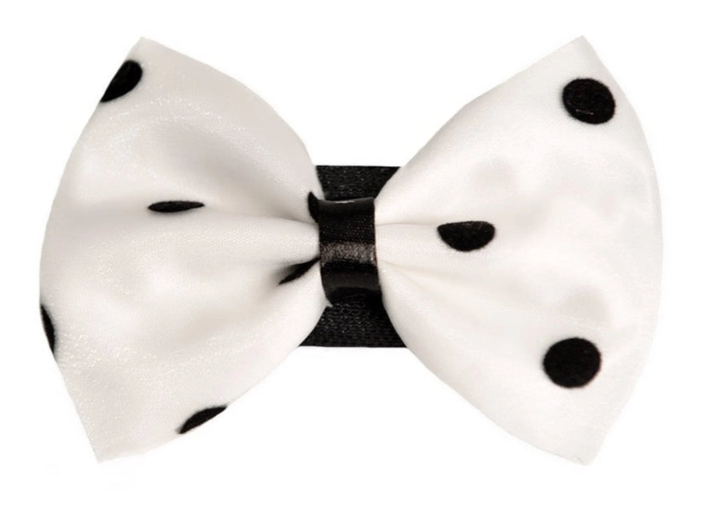 PR1001|Pets Ribbons - Your Pet Connection