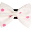 PR1001|Pets Ribbons - Your Pet Connection