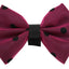 PR1001|Pets Ribbons - Your Pet Connection