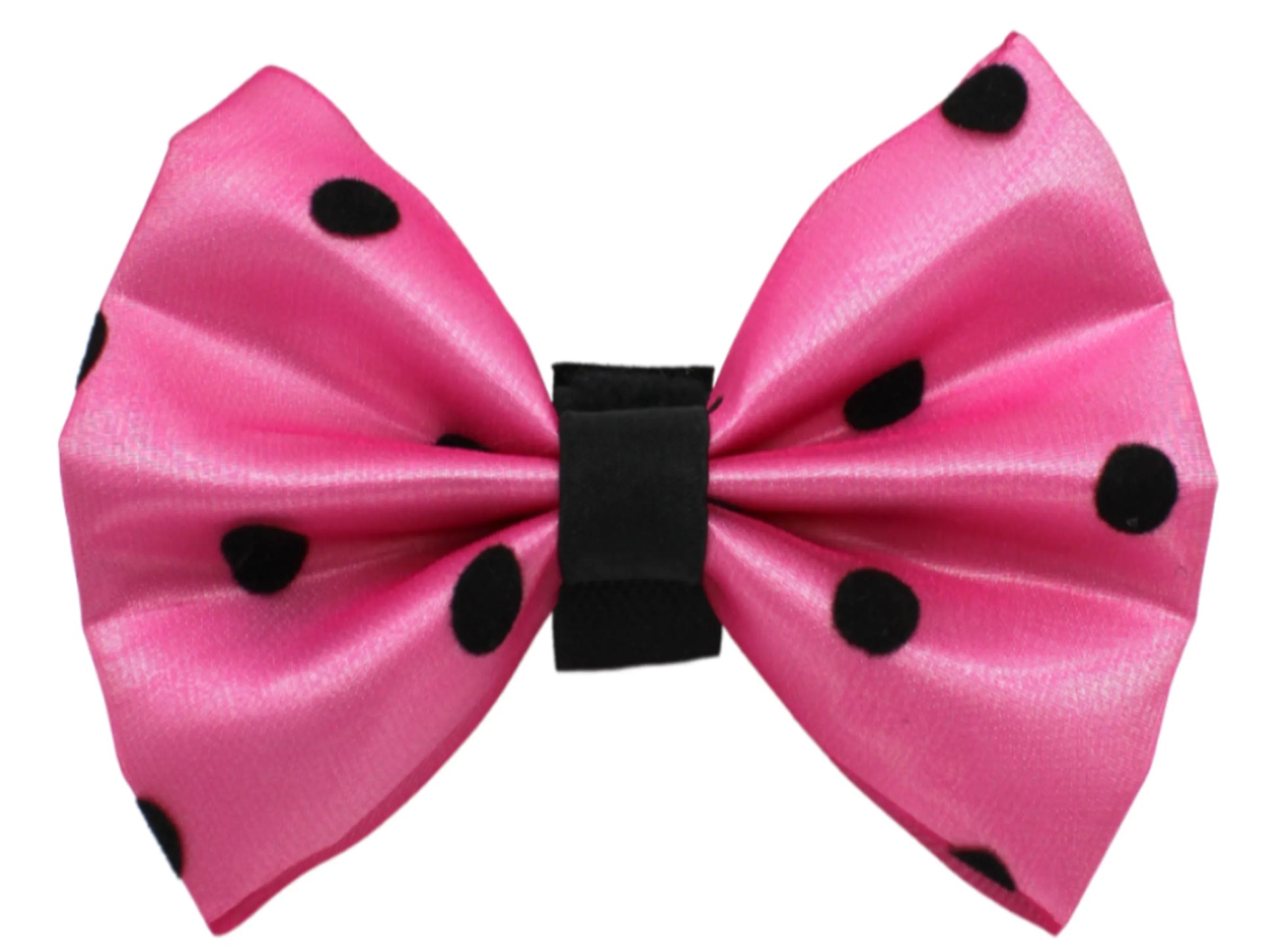 PR1001|Pets Ribbons - Your Pet Connection