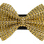 PR2000|Pets Ribbons - Your Pet Connection
