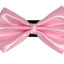 PR3000|Pets Ribbons - Your Pet Connection