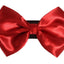 PR3000|Pets Ribbons - Your Pet Connection