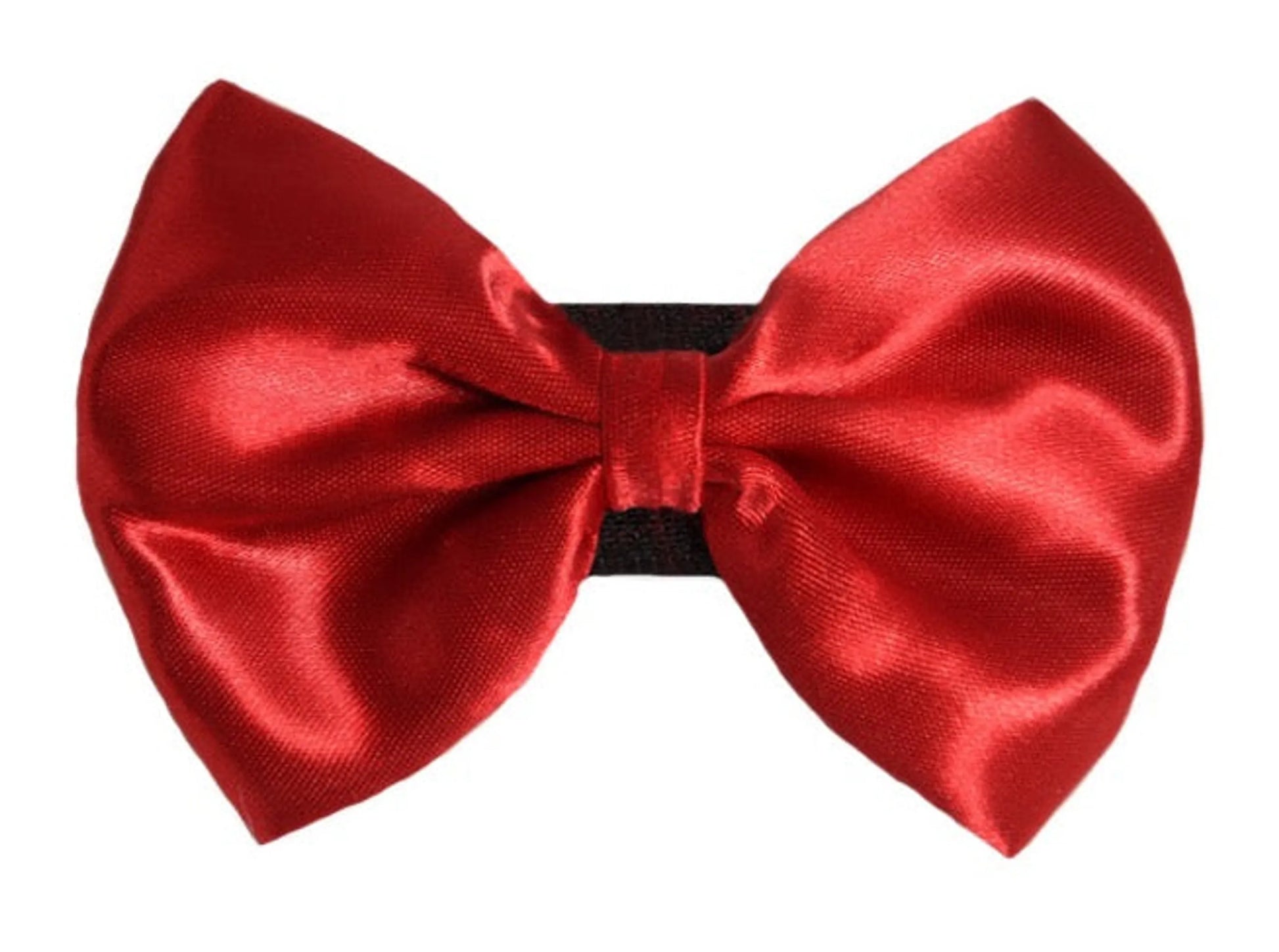 PR3000|Pets Ribbons - Your Pet Connection