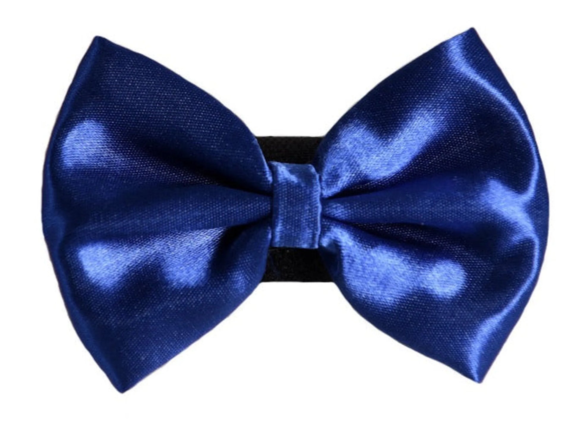 PR3000|Pets Ribbons - Your Pet Connection