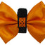 PR3000HD|Pets Ribbons - Your Pet Connection