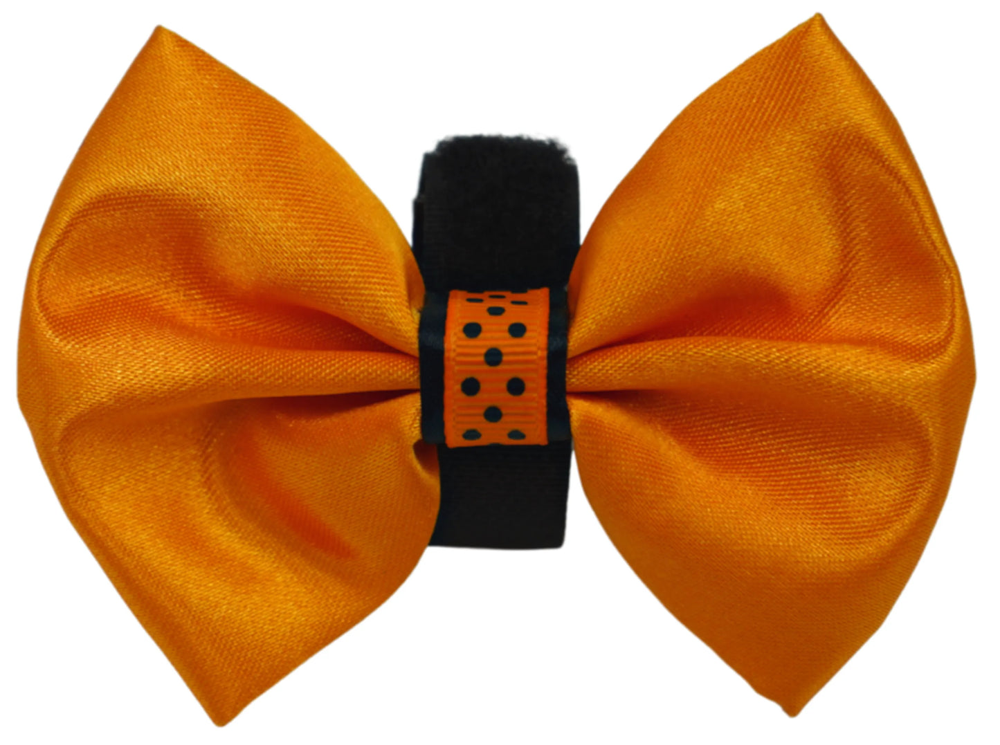 PR3000HD|Pets Ribbons - Your Pet Connection