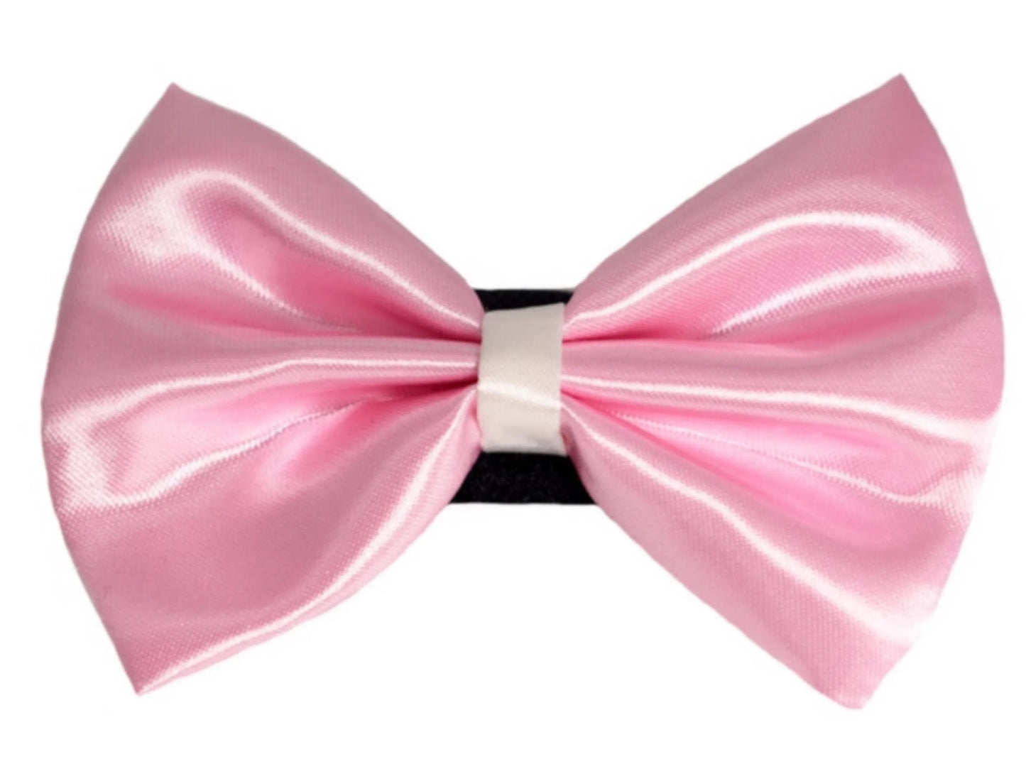 PR3001|Pets Ribbons - Your Pet Connection