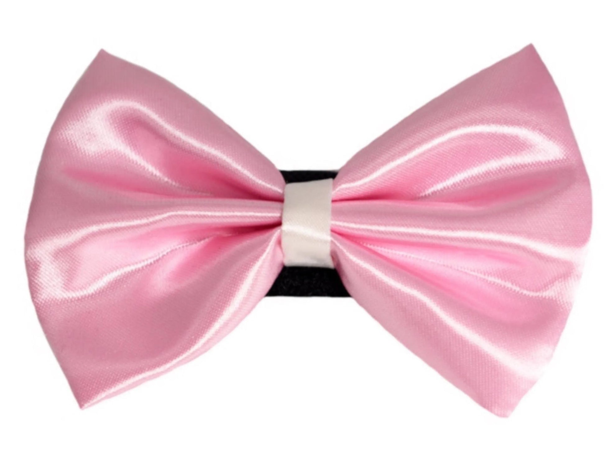 PR3001|Pets Ribbons - Your Pet Connection