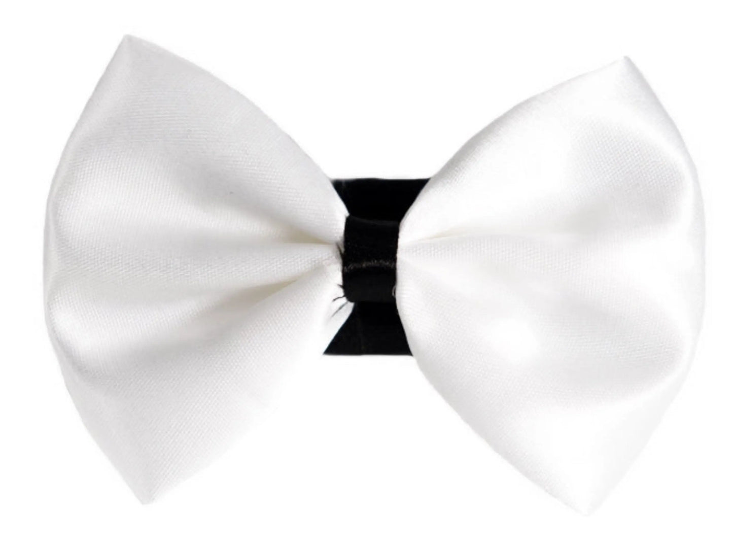 PR3001|Pets Ribbons - Your Pet Connection