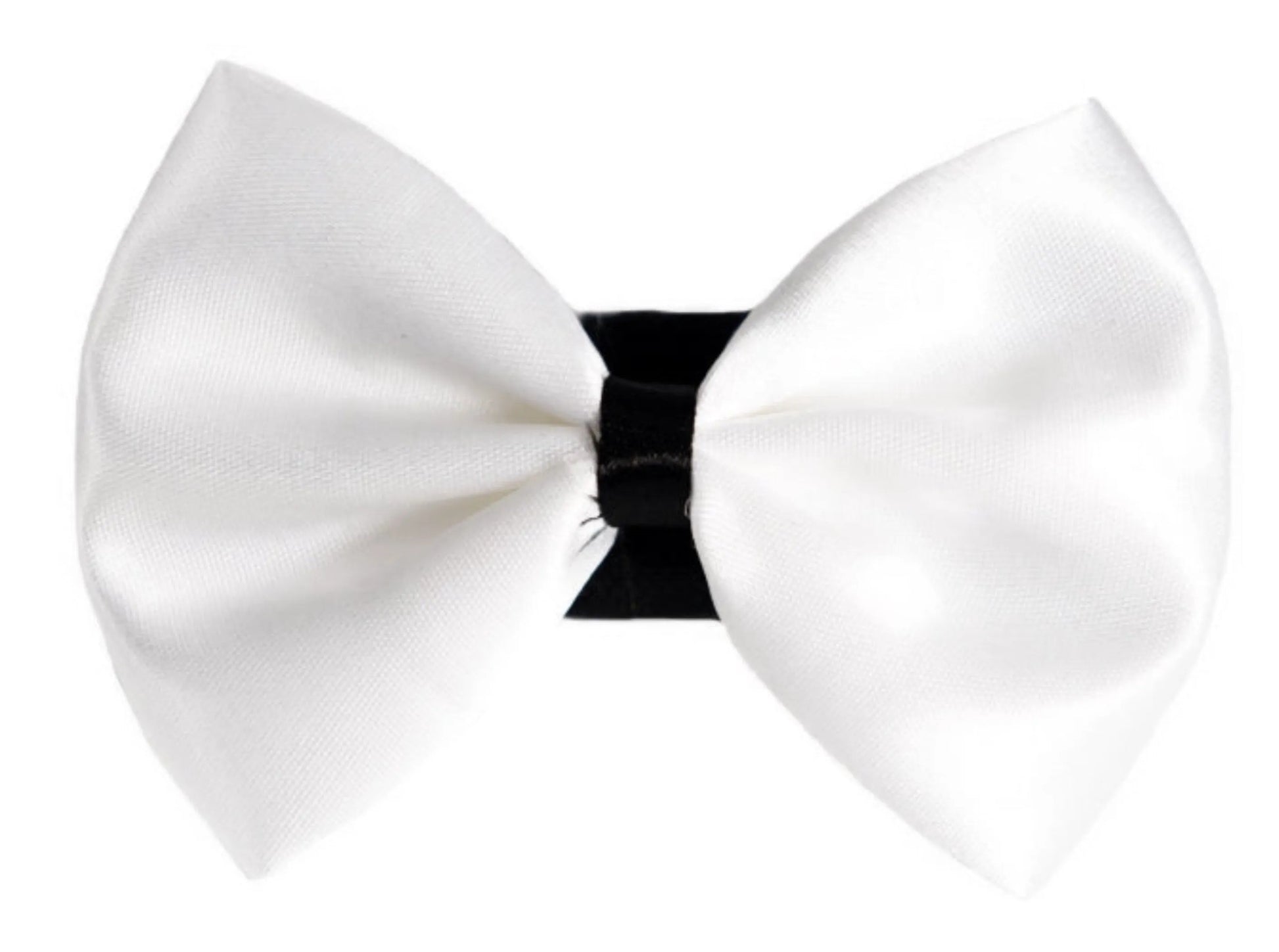 PR3001|Pets Ribbons - Your Pet Connection