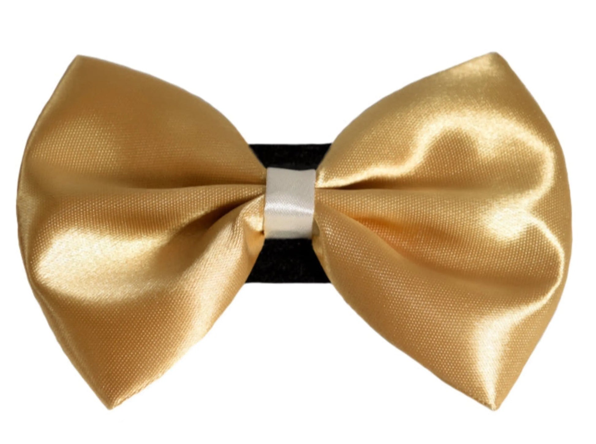 PR3001|Pets Ribbons - Your Pet Connection