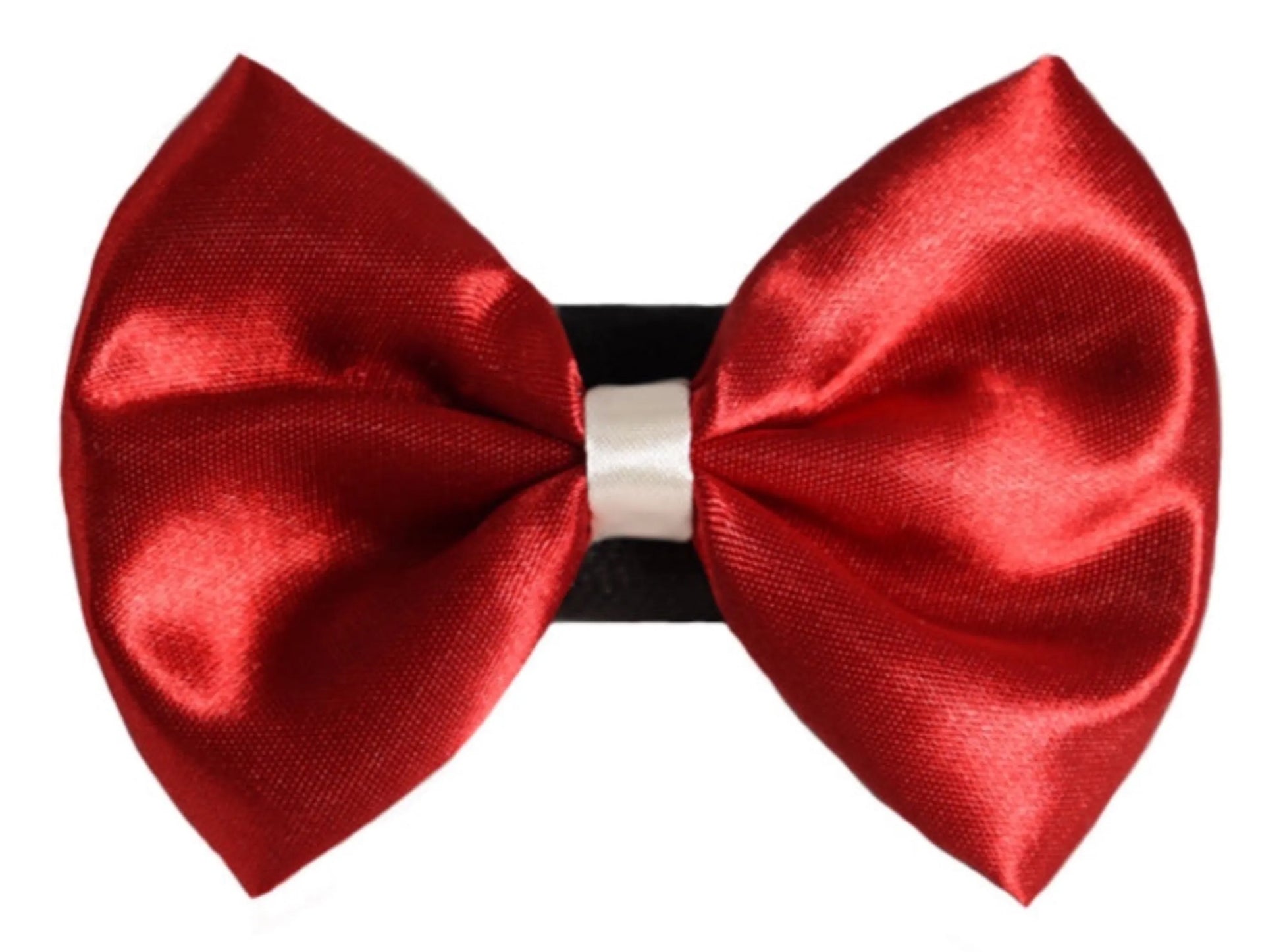 PR3001|Pets Ribbons - Your Pet Connection