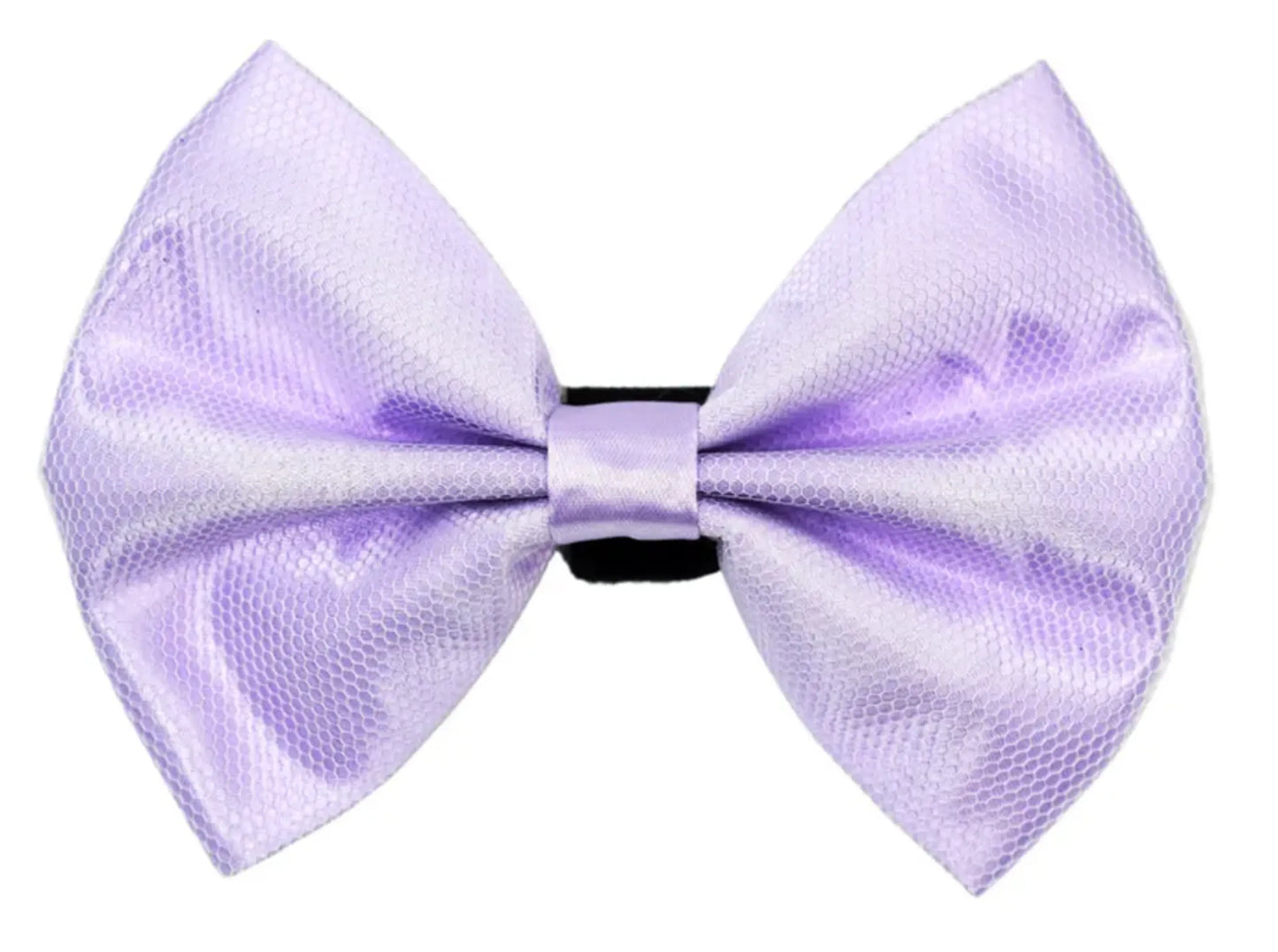 PR3004|Pets Ribbons - Your Pet Connection