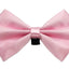 PR3004|Pets Ribbons - Your Pet Connection