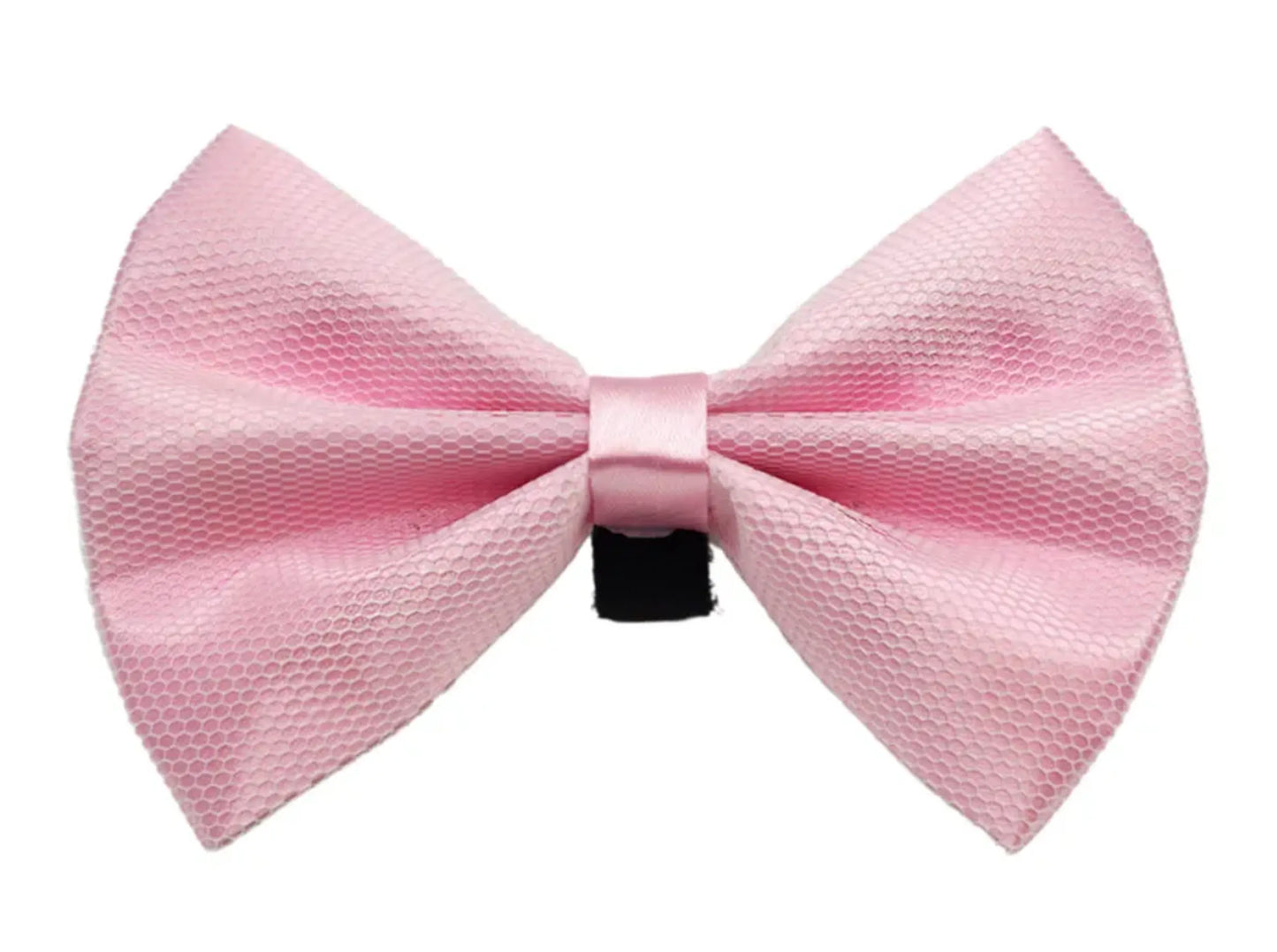 PR3004|Pets Ribbons - Your Pet Connection