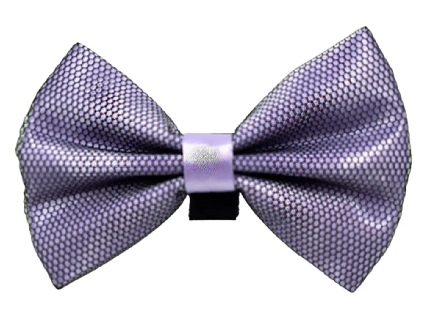 PR3005|Pets Ribbons - Your Pet Connection