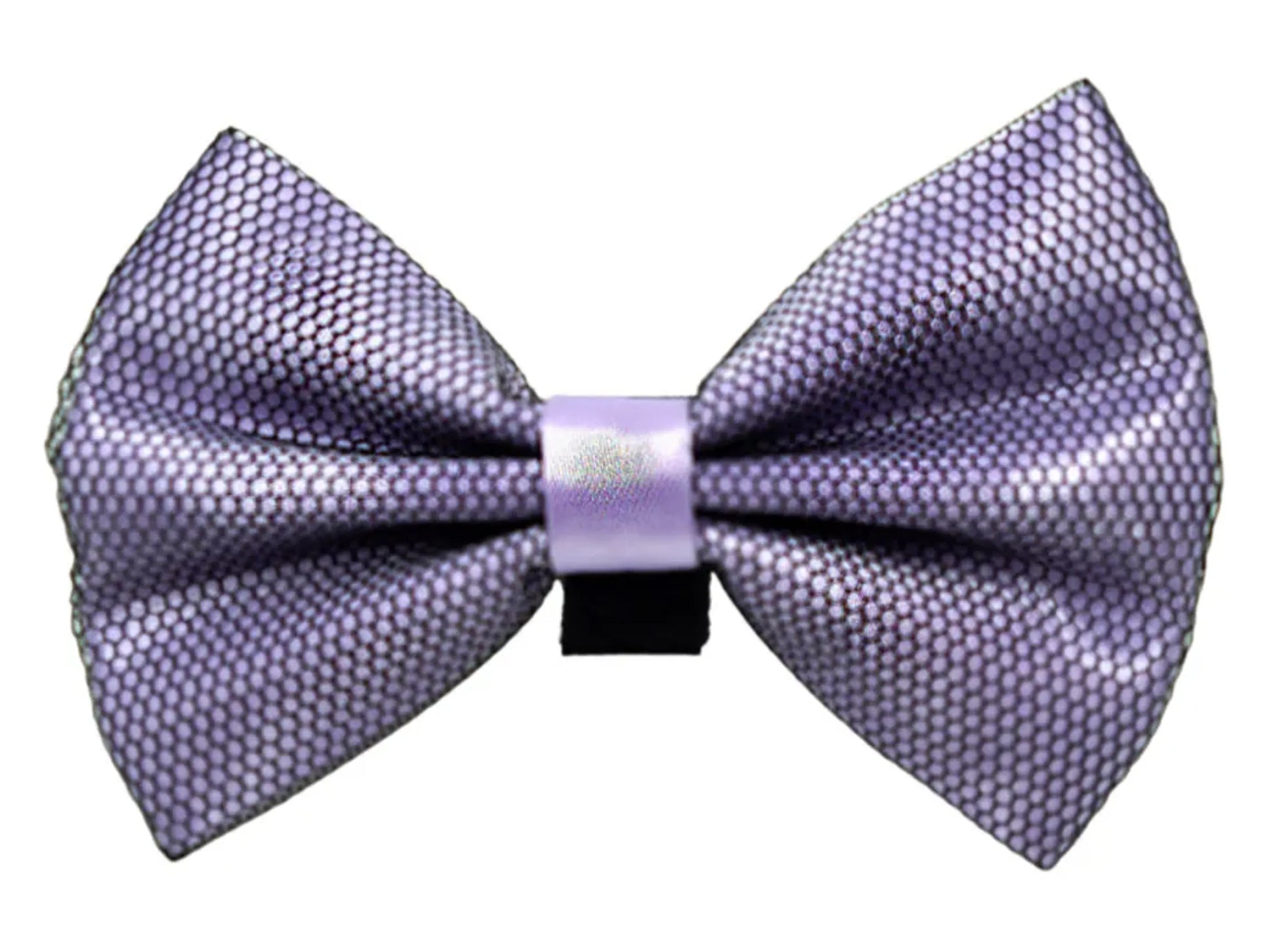 PR3005|Pets Ribbons - Your Pet Connection