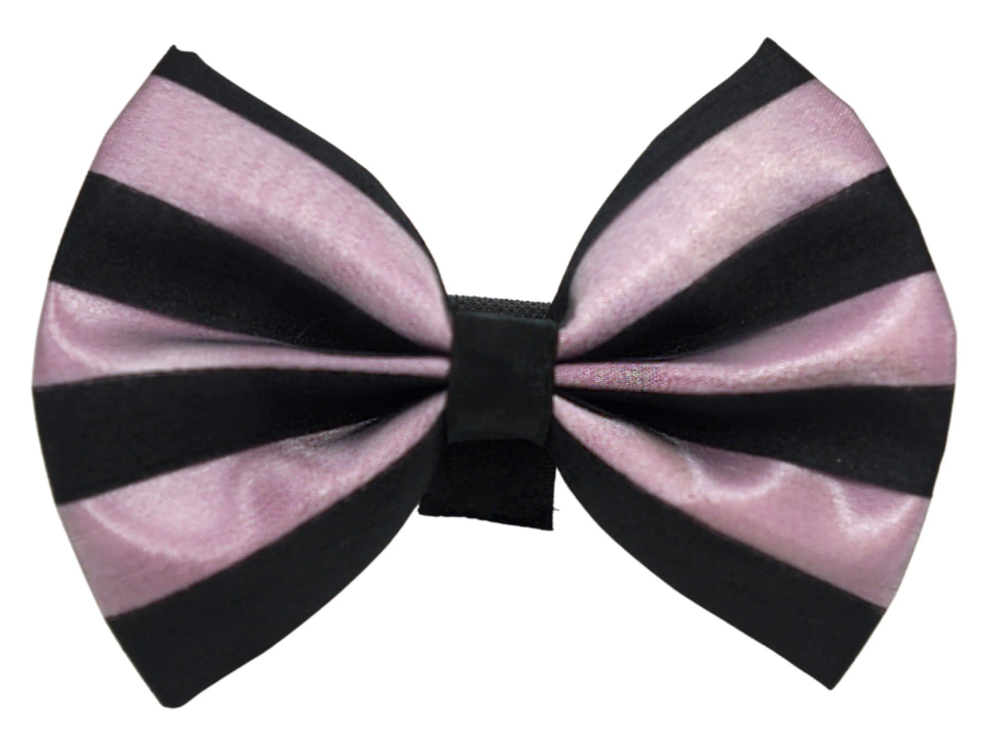 PR3006|Pets Ribbons - Your Pet Connection