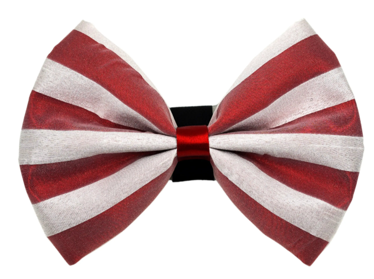 PR3006|Pets Ribbons - Your Pet Connection