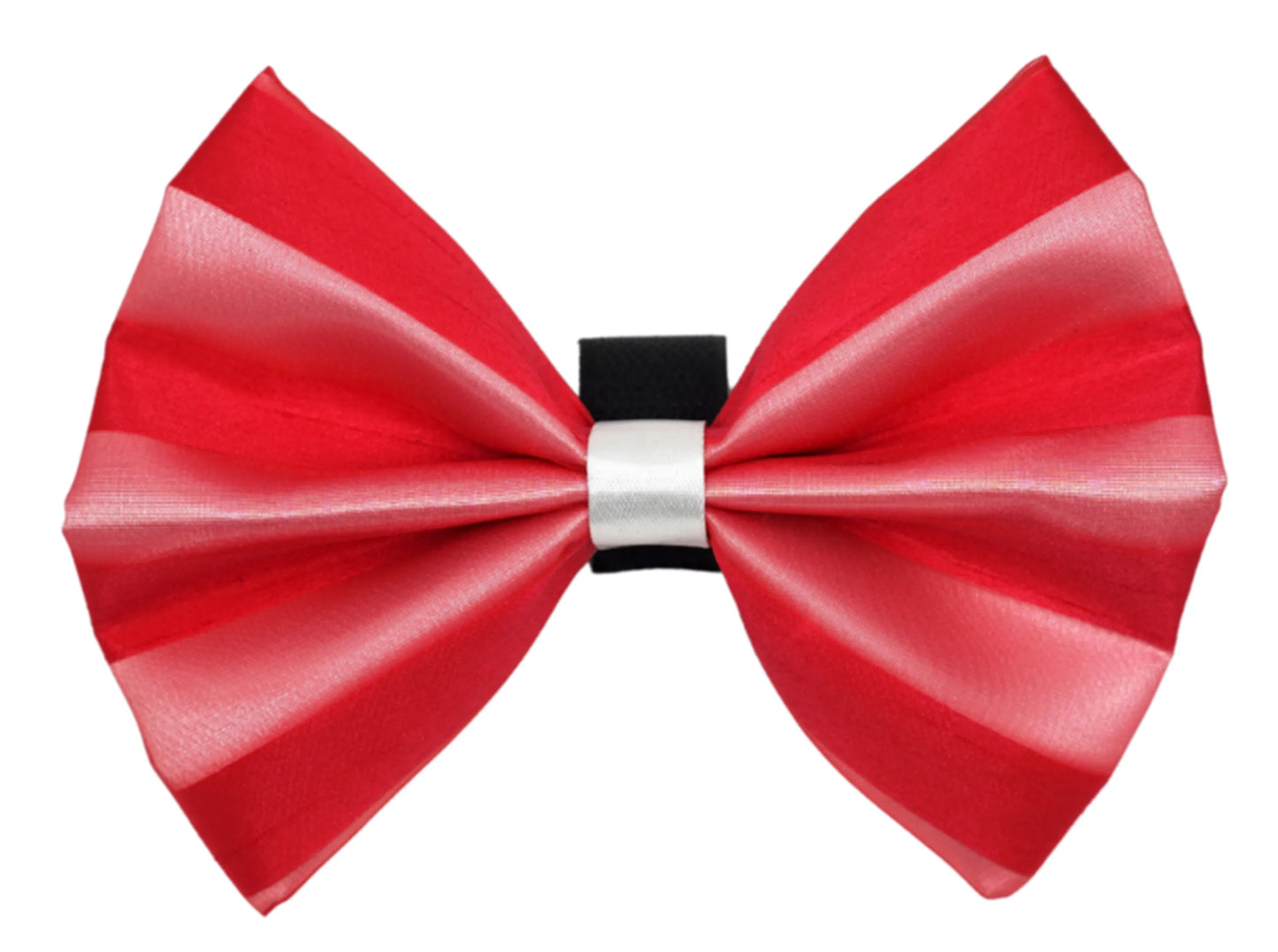 PR3006|Pets Ribbons - Your Pet Connection