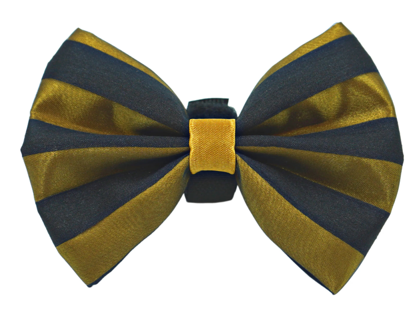 PR3006|Pets Ribbons - Your Pet Connection