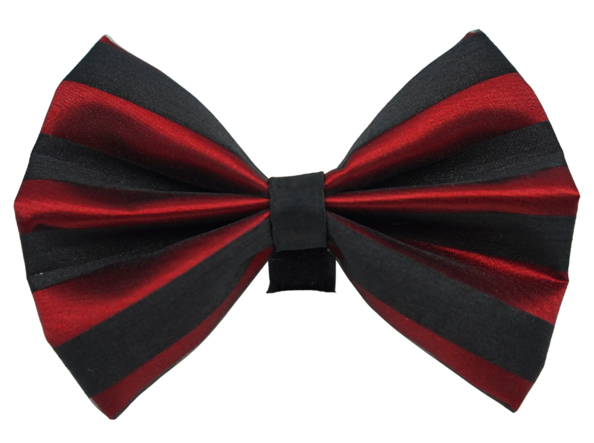 PR3006|Pets Ribbons - Your Pet Connection