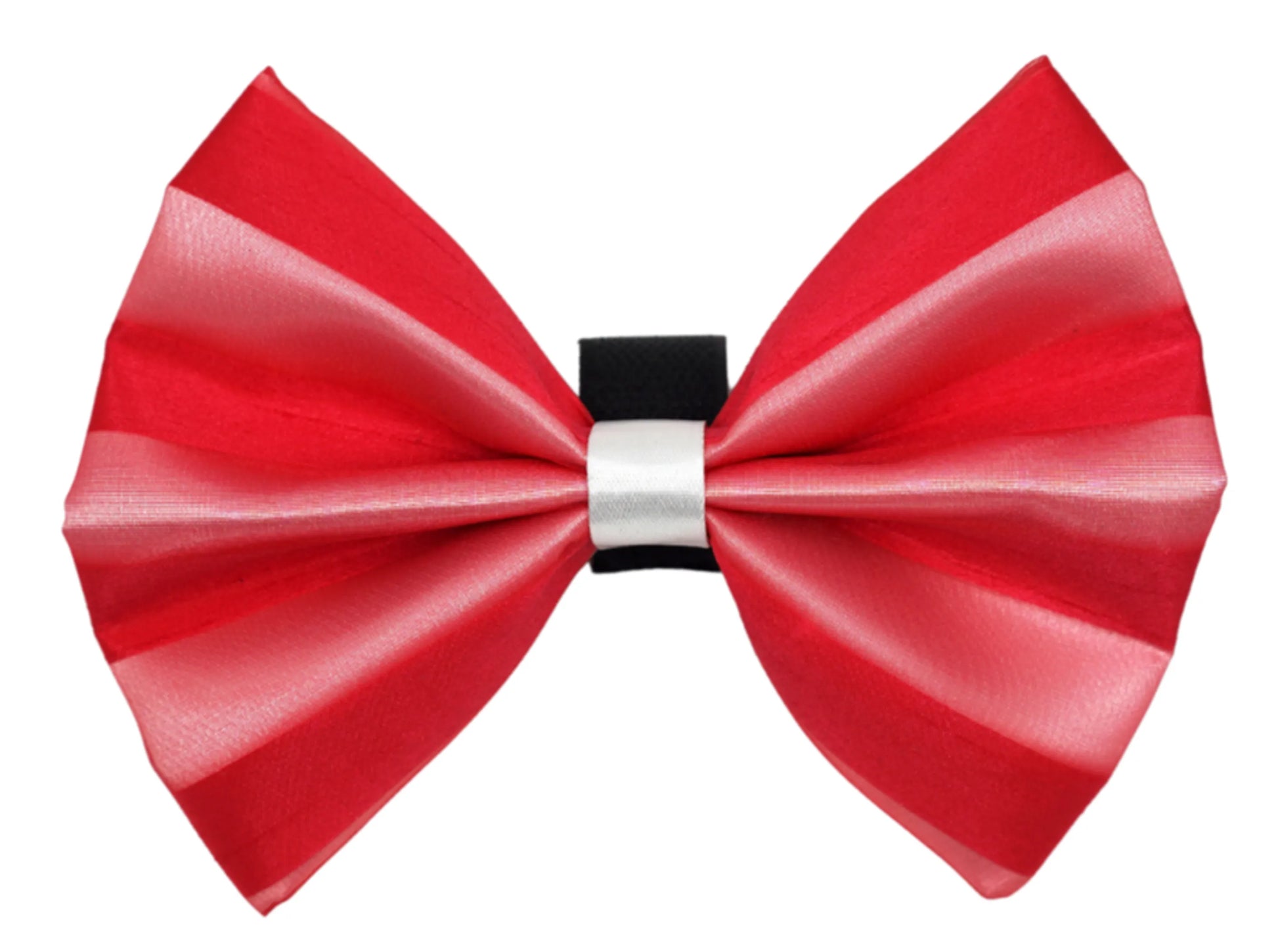 PR3006|Pets Ribbons - Your Pet Connection