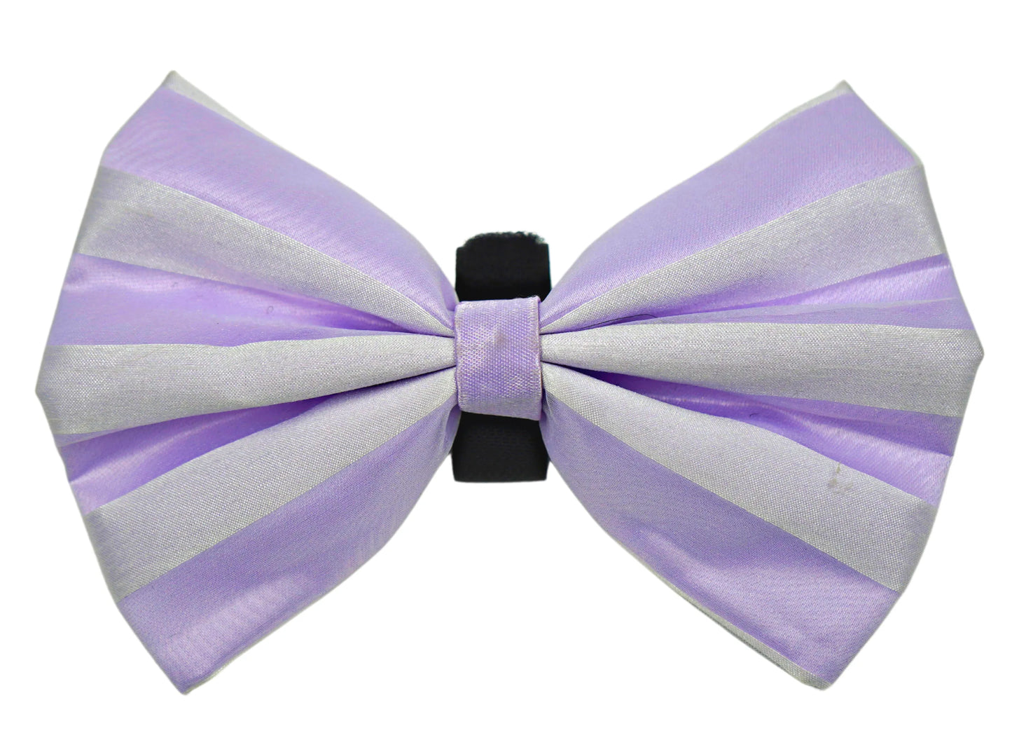 PR3006|Pets Ribbons - Your Pet Connection