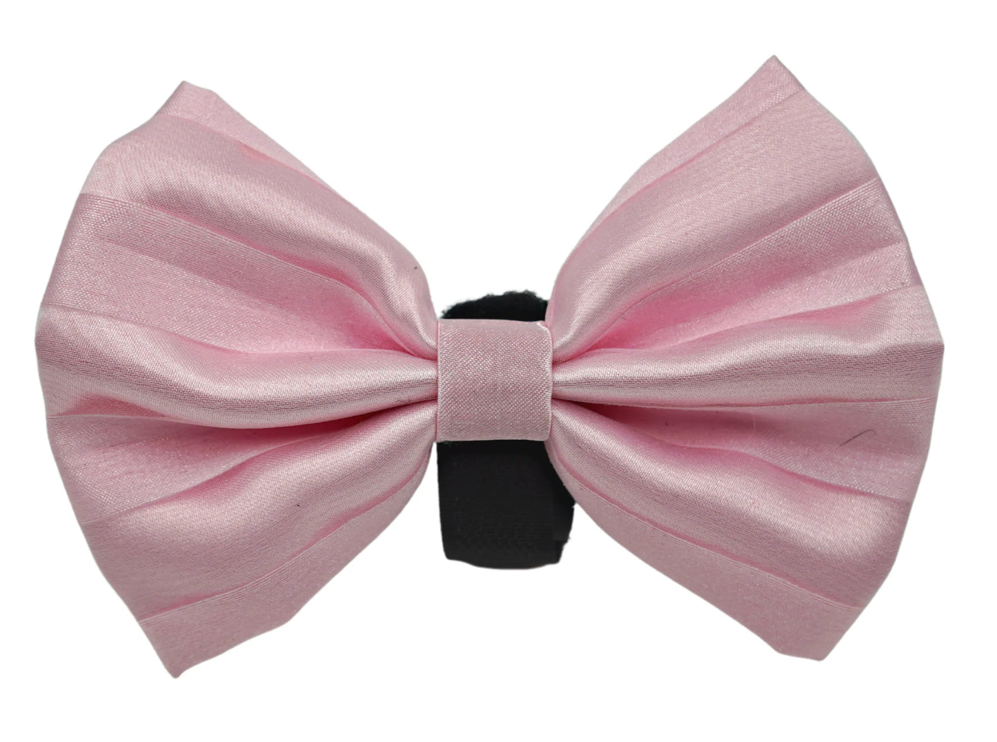 PR3006|Pets Ribbons - Your Pet Connection