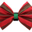 PR3006|Pets Ribbons - Your Pet Connection