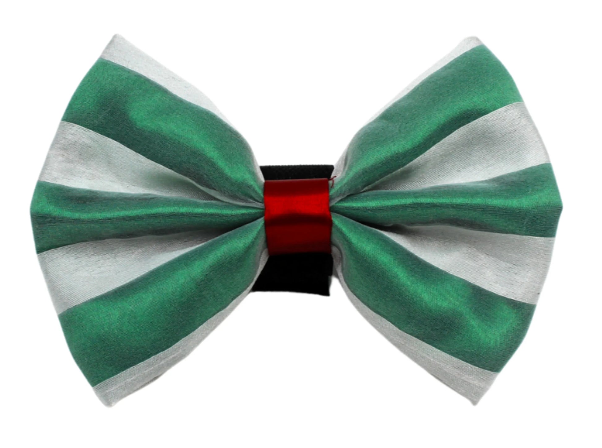 PR3006|Pets Ribbons - Your Pet Connection