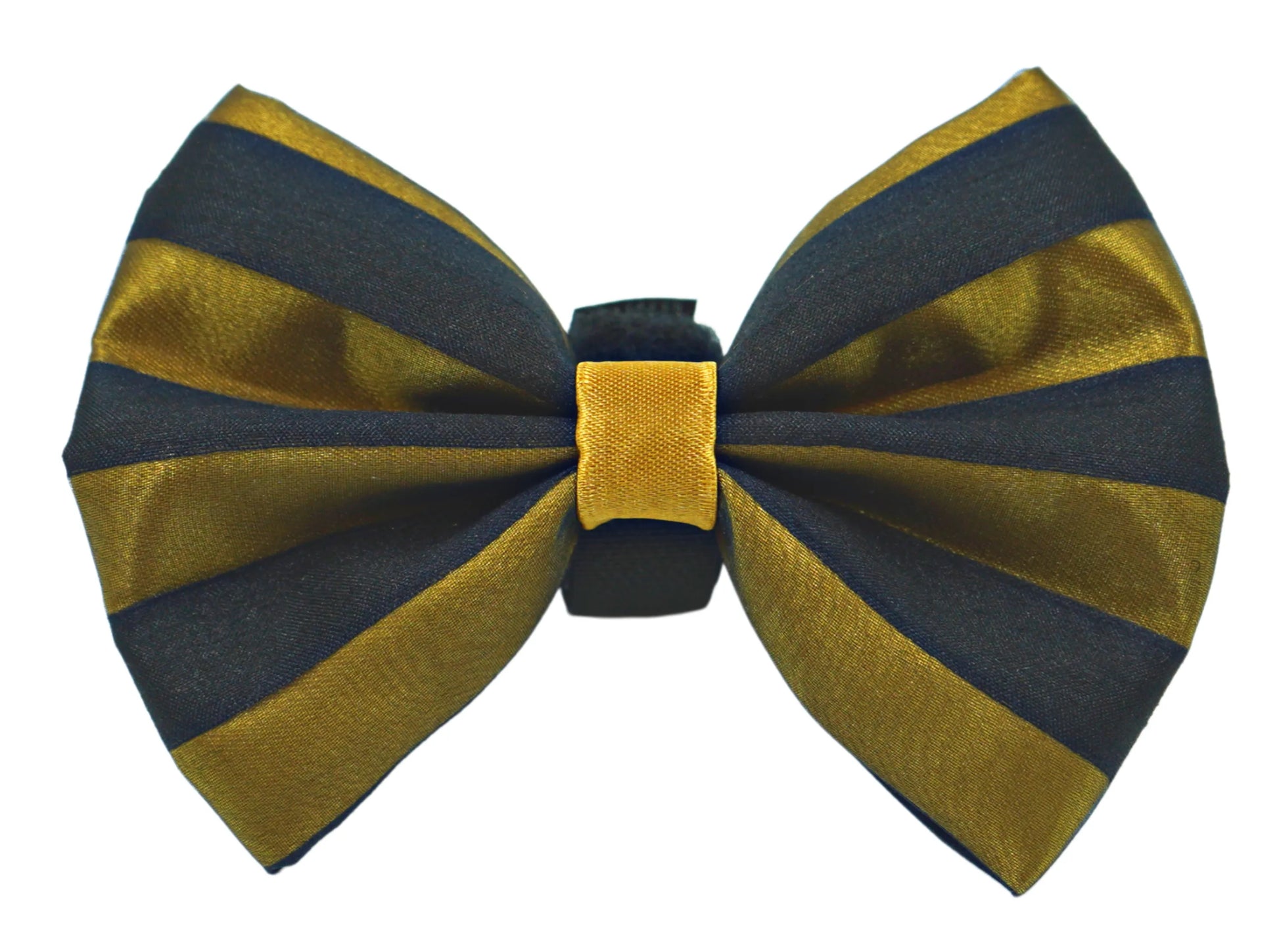 PR3006|Pets Ribbons - Your Pet Connection