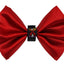 PR3007|Pets Ribbons - Your Pet Connection