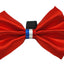 PR3009|Pets Ribbons - Your Pet Connection