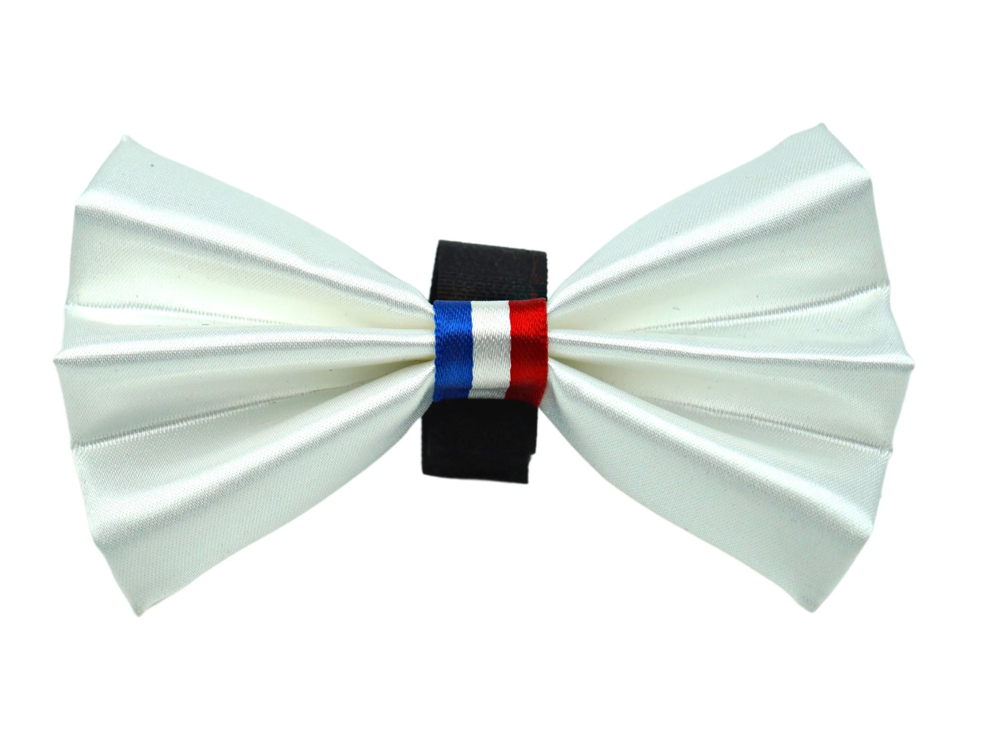 PR3009|Pets Ribbons - Your Pet Connection