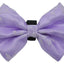 PR3010|Pets Ribbons - Your Pet Connection