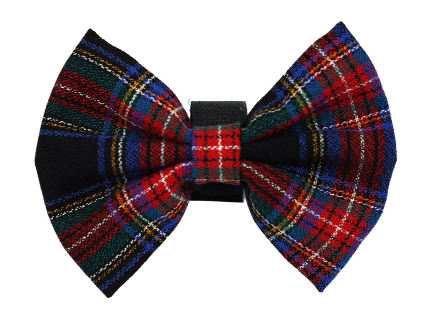 PR4013|Pets Ribbons - Your Pet Connection