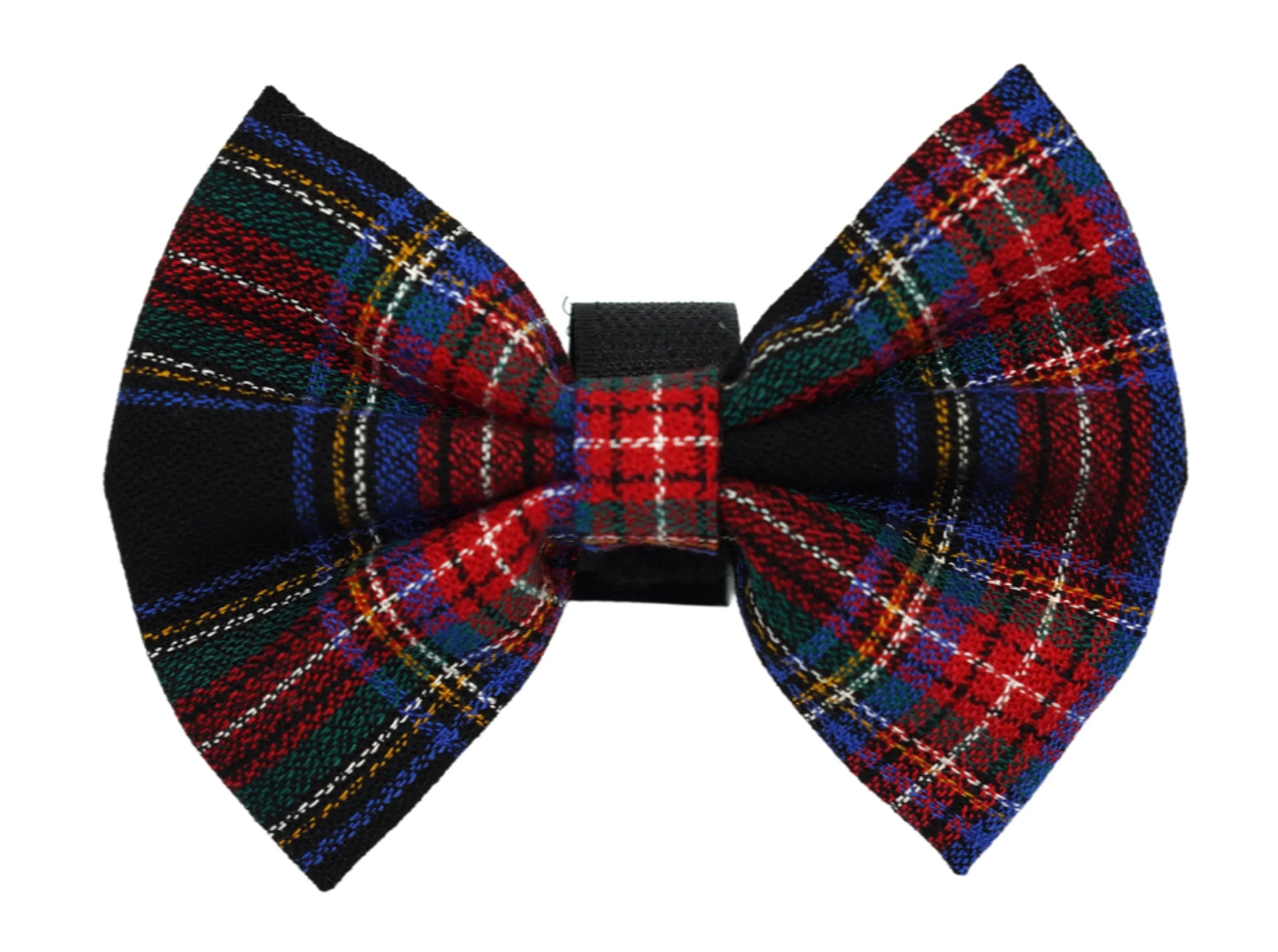 PR4013|Pets Ribbons - Your Pet Connection